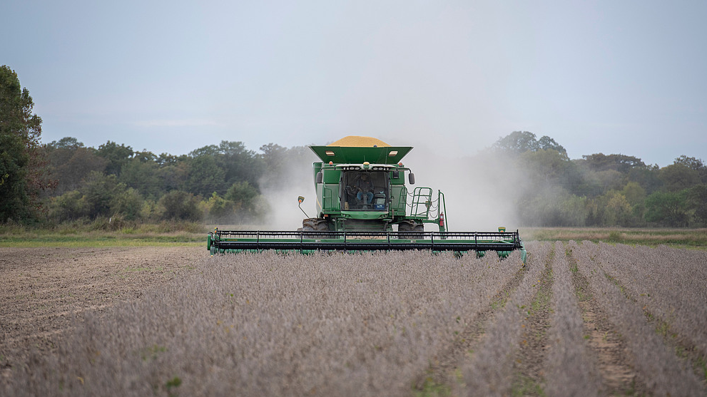 Harvesting soybean on a farm near Gregory, Arkansas, US, October 24, 2025. /VCG