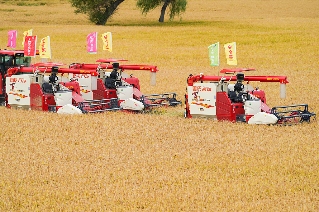 Three autonomous combine harvesters operate during a harvest ceremony in Harbin, northeast China's Heilongjiang Province, September 23, 2026. /VCG