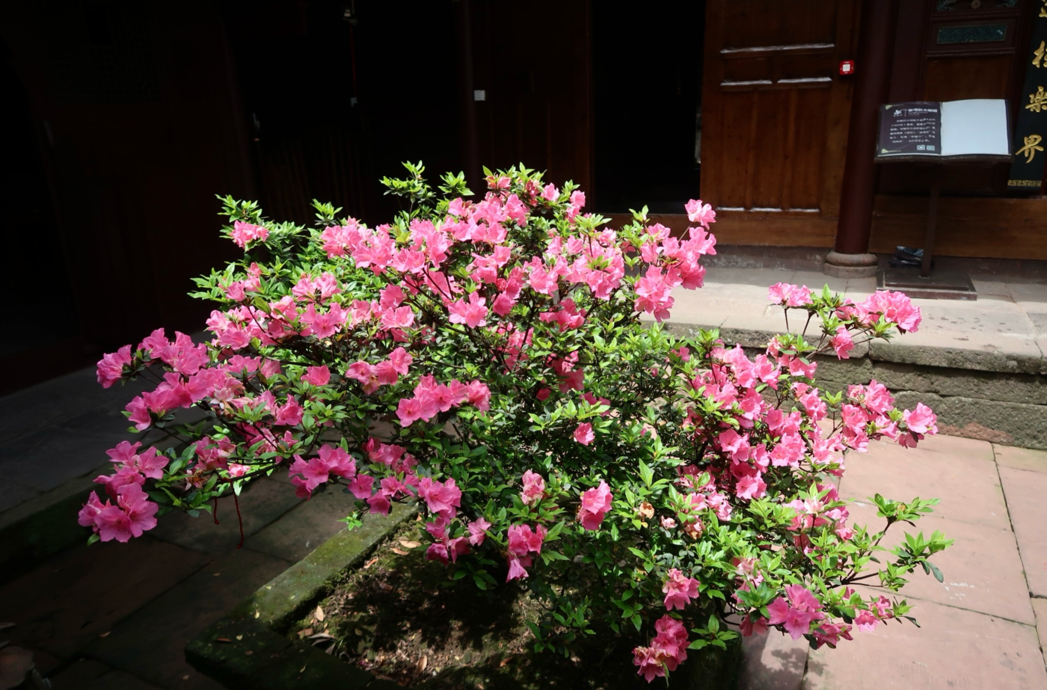 Mid-Autumn Approaching: Jinfeng Temple, Where Scenery Meets Cultural Memory