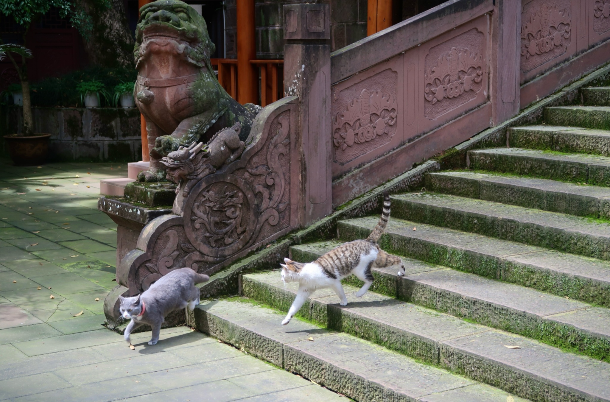 Mid-Autumn Approaching: Jinfeng Temple, Where Scenery Meets Cultural Memory