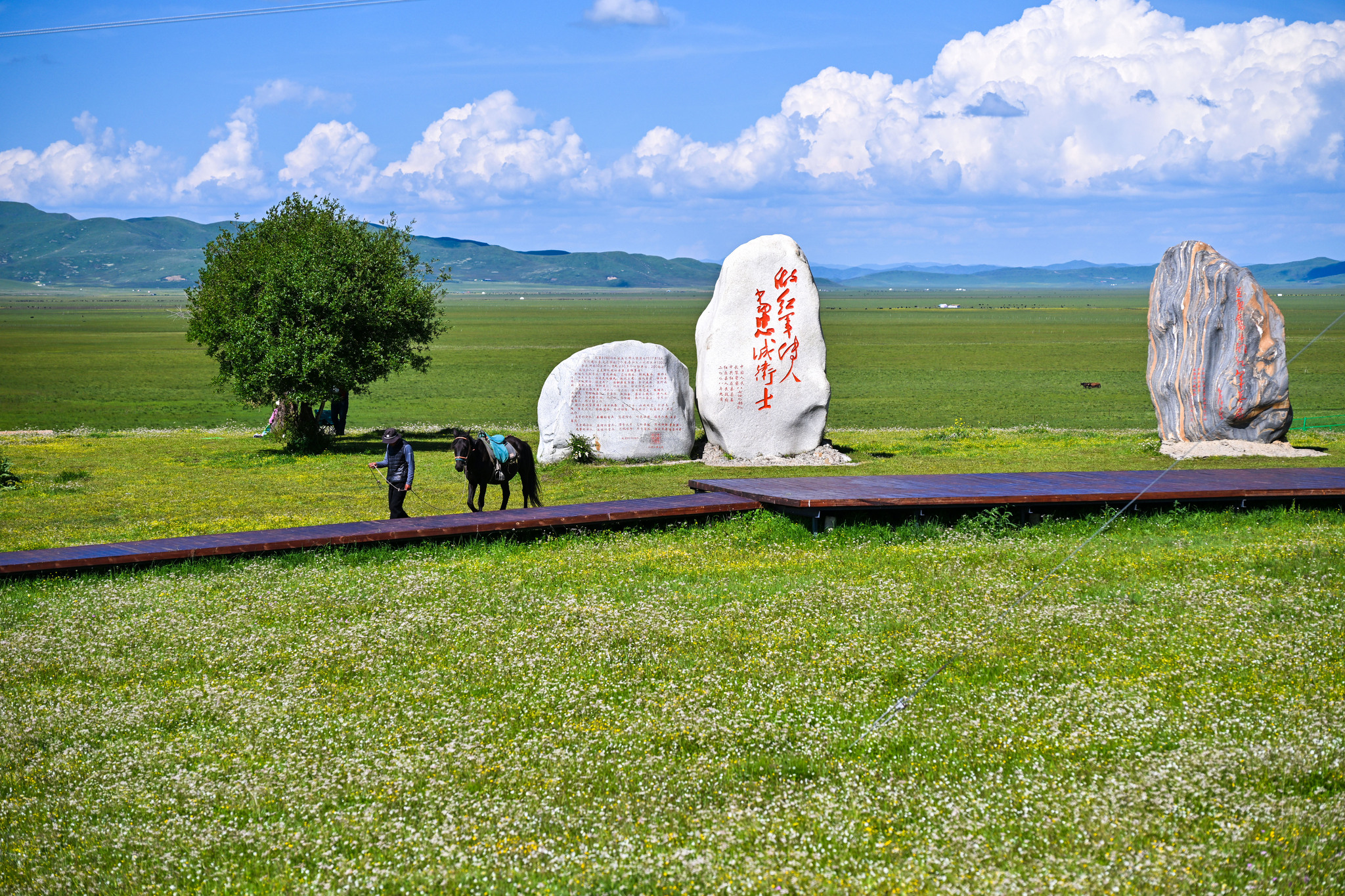The Riganqiao Wetland in Hongyuan County, Sichuan Province, China, July 8, 2026. /VCG