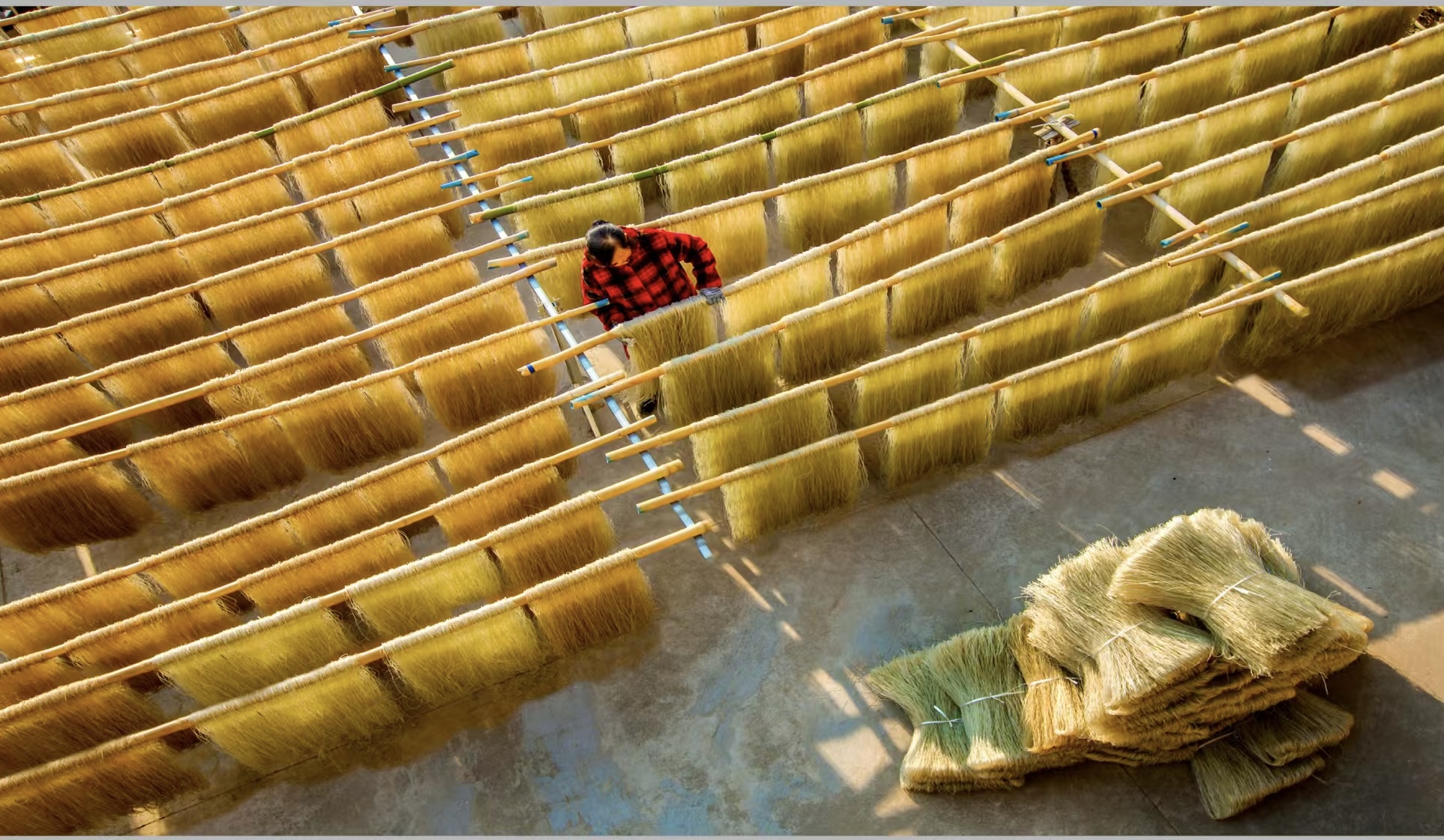 China's harvest season: where tradition meets agricultural innovation