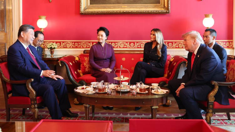 Xi, Peng Liyuan have tea chat with Trump and his wife