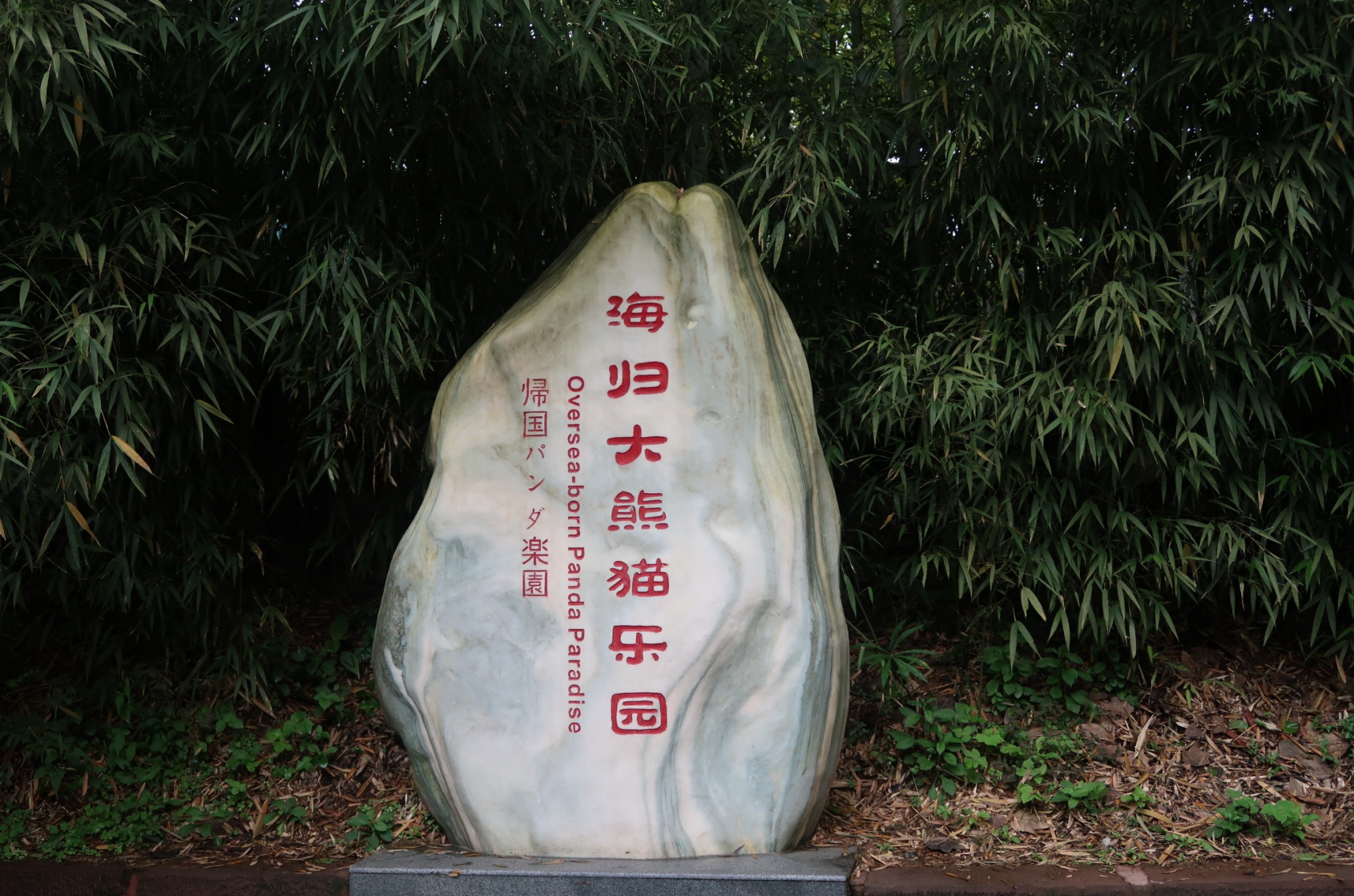 Ya'an: A Model of Ecological Restoration