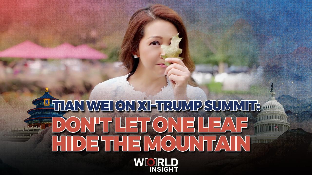 Tian Wei on Xi–Trump summit: Don't let one leaf hide the mountain