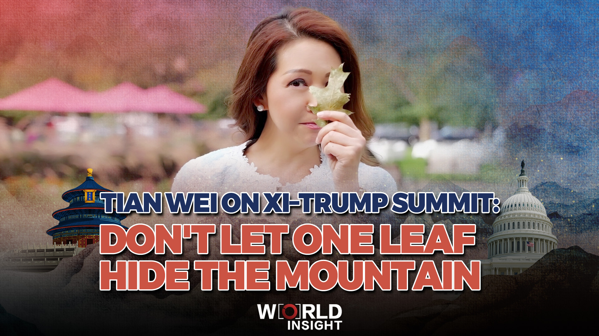 Tian Wei on Xi–Trump summit:  Don't let one leaf hide the mountain