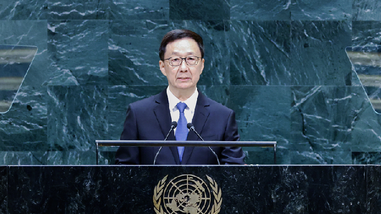 Chinese VP: China to work with all countries to build shared future