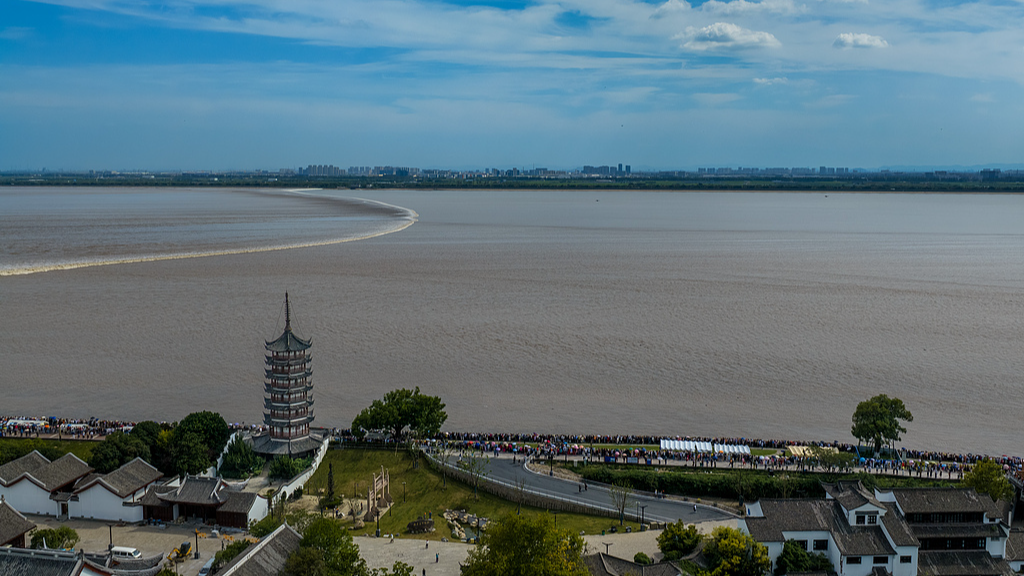 Live: Spectacular views of the 2026 Qiantang River tidal bore in east China