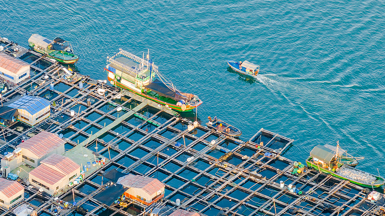 Live: Where the sea is home – Lingshui's Tanka fishing rafts in Hainan
