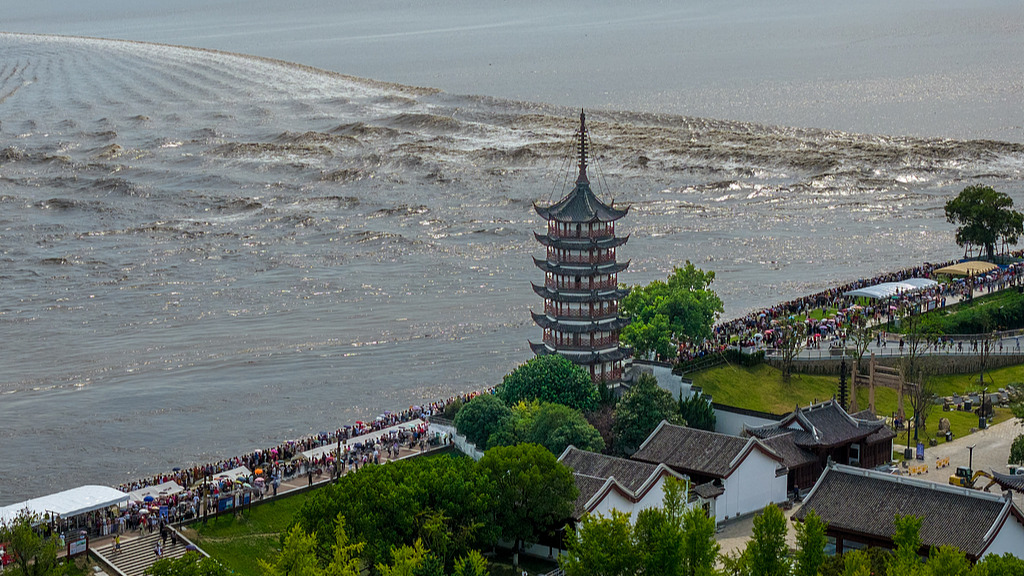 Live: Spectacular views of the 2026 Qiantang River tidal bore in east China