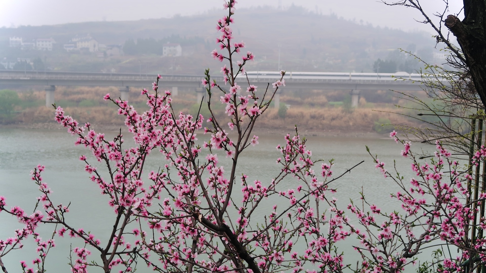 Sichuan's Largest Grotto Complex