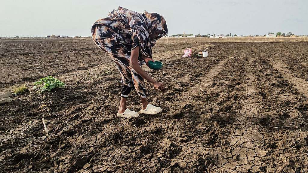 A Sudanese farmer plants seeds in an agricultural field in Gedaref State, eastern Sudan, July 18, 2026. /VCG