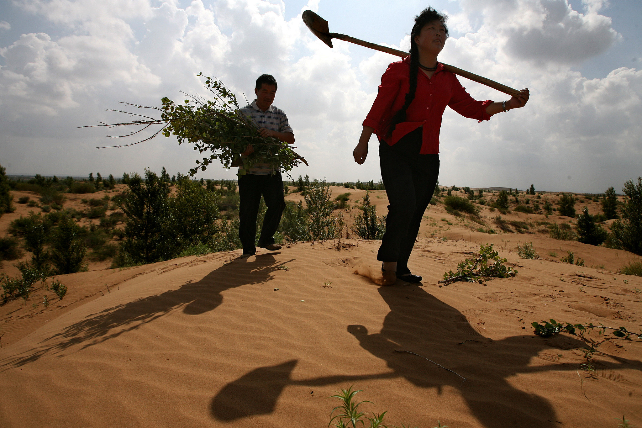Yin Yuzhen and her husband fight desertification by planting trees in the Mu Us Sandy Land, turning 70,000 mu (about 4,667 hectares) of sandy land into an oasis, Uxin Banner, Ordos City, Inner Mongolia Autonomous Region, August 5-6, 2009. /VCG
