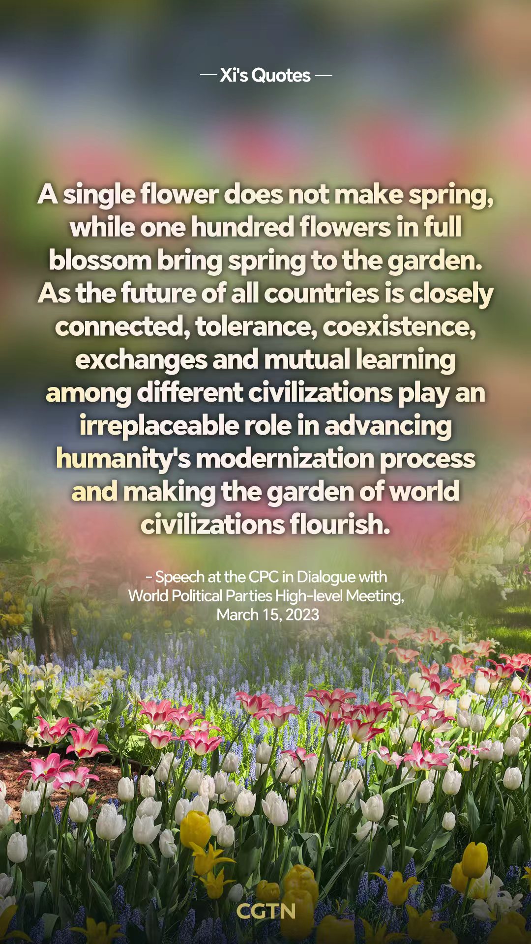 President Xi's key quotes on cultural diversity and exchanges between civilizations