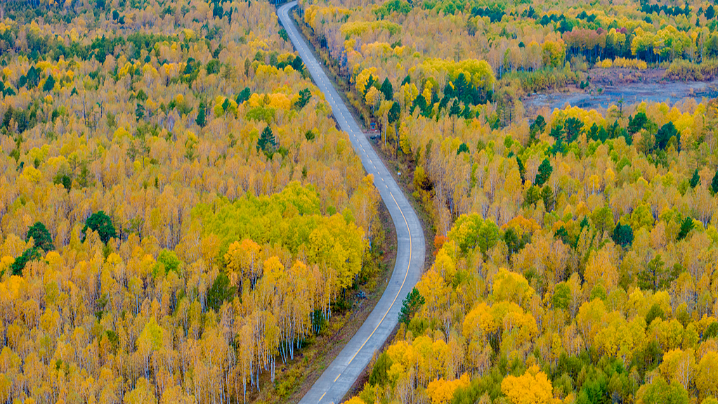 Countrywide autumn self-drive map released for National Day Holiday