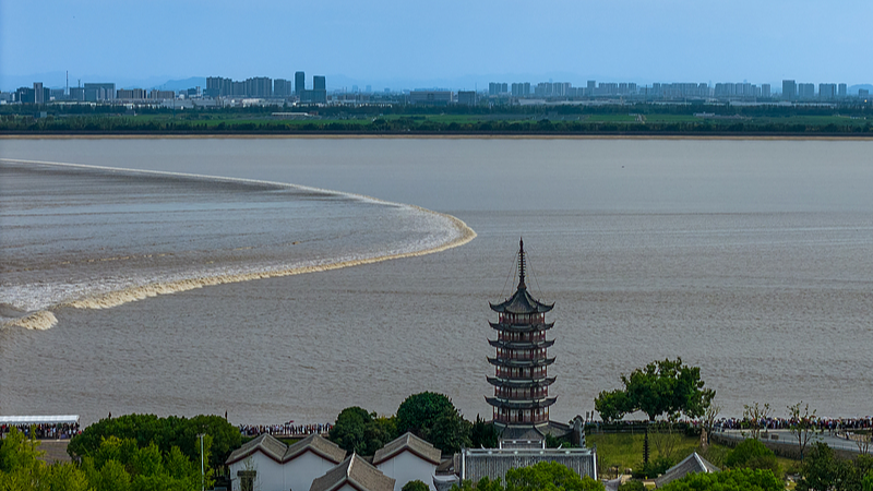 Live: Tide watching along the Qiantang River in east China's Zhejiang Province