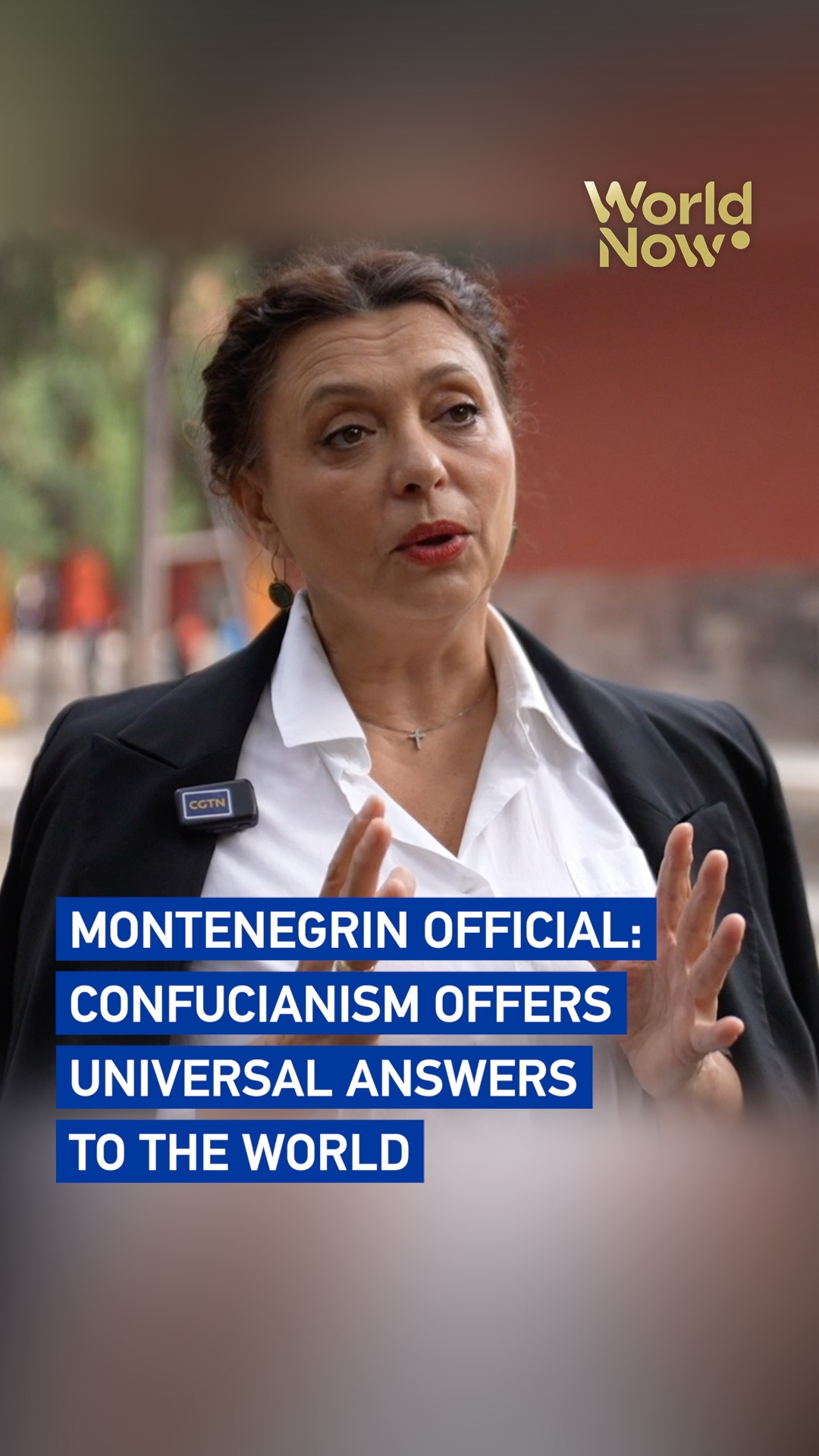 Montenegrin official: Confucianism offers universal answers to the world