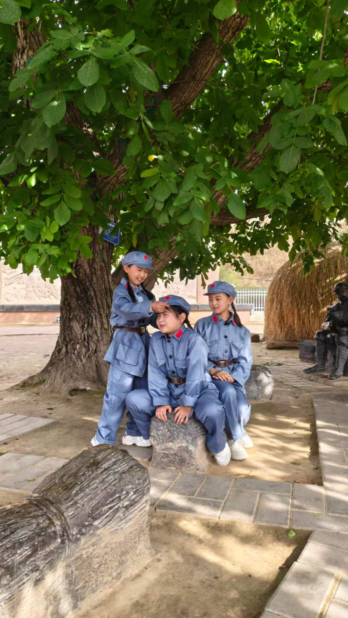 The walnut tree in Bangluo Town: The Long March passed by, the new generation sits under the shade