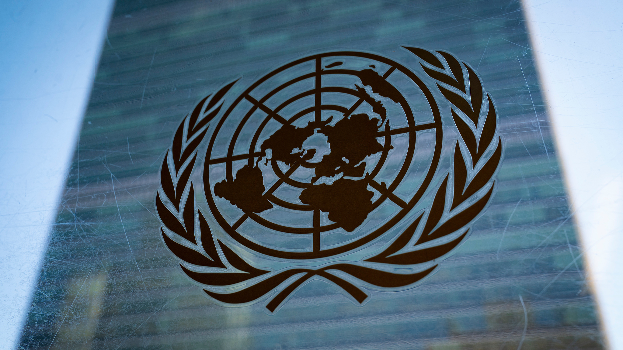 The United Nations' logo. /VCG
