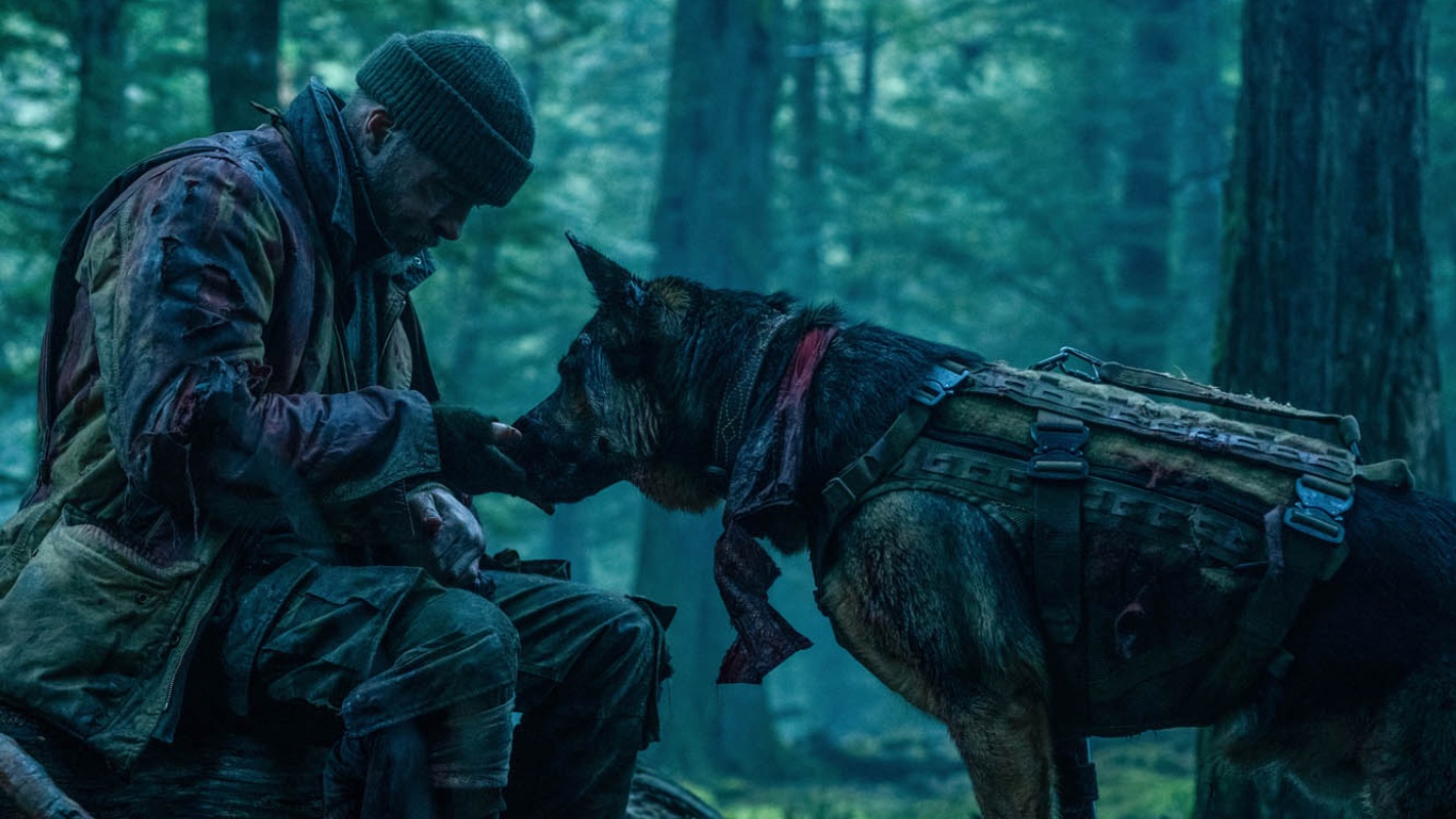 Brad Pitt's 'Heart of the Beast' opens in Chinese cinemas today