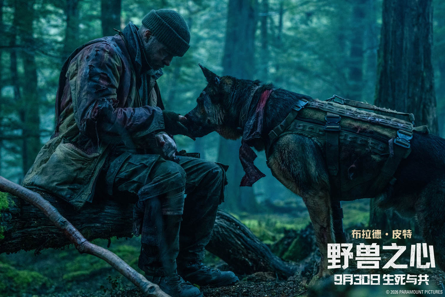 A still from the Brad Pitt movie Heart of the Beast, which was released in Chinese cinemas on September 30, 2026. /Photo provided to CGTN