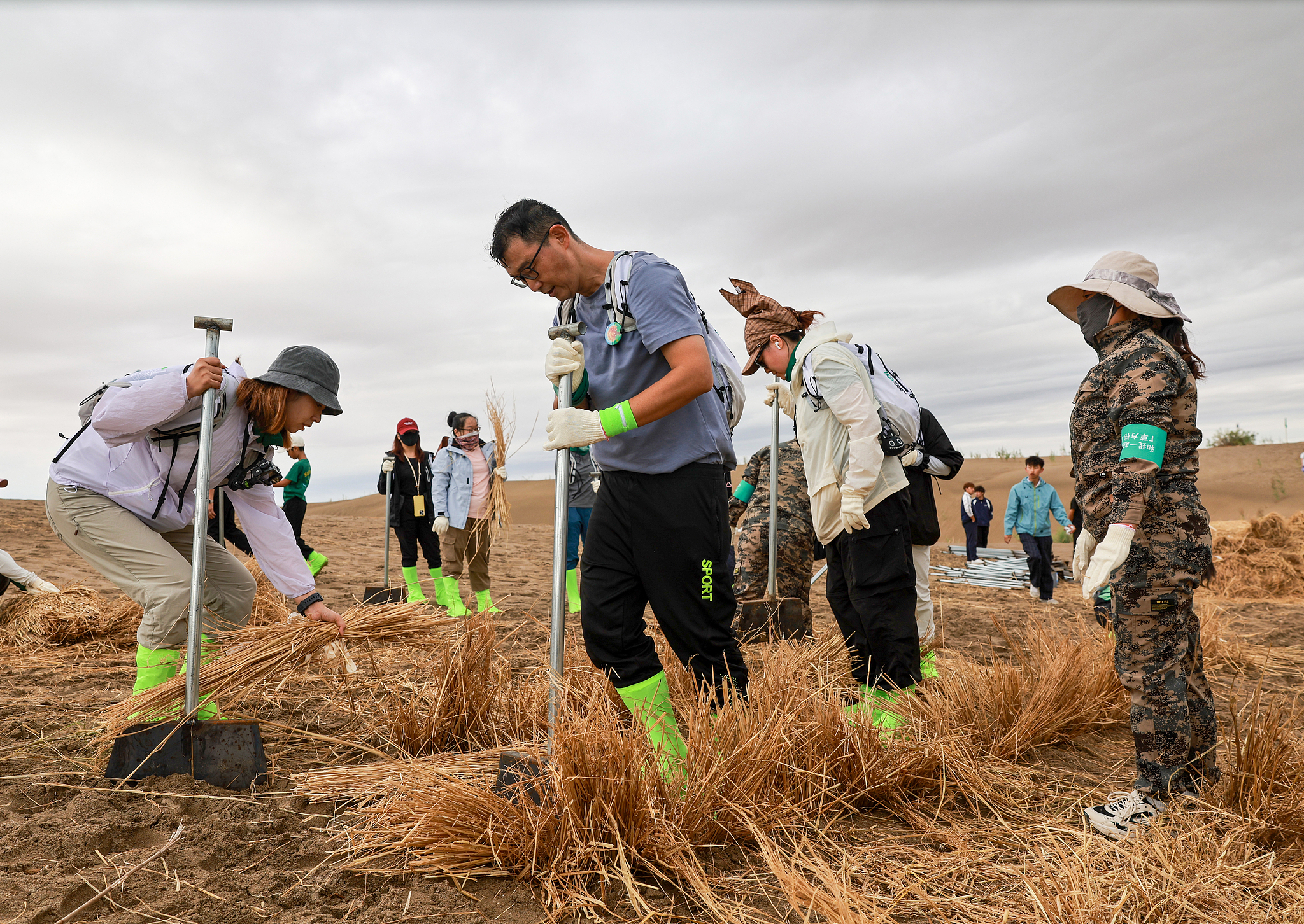 Green advances, sand retreats: A new trek