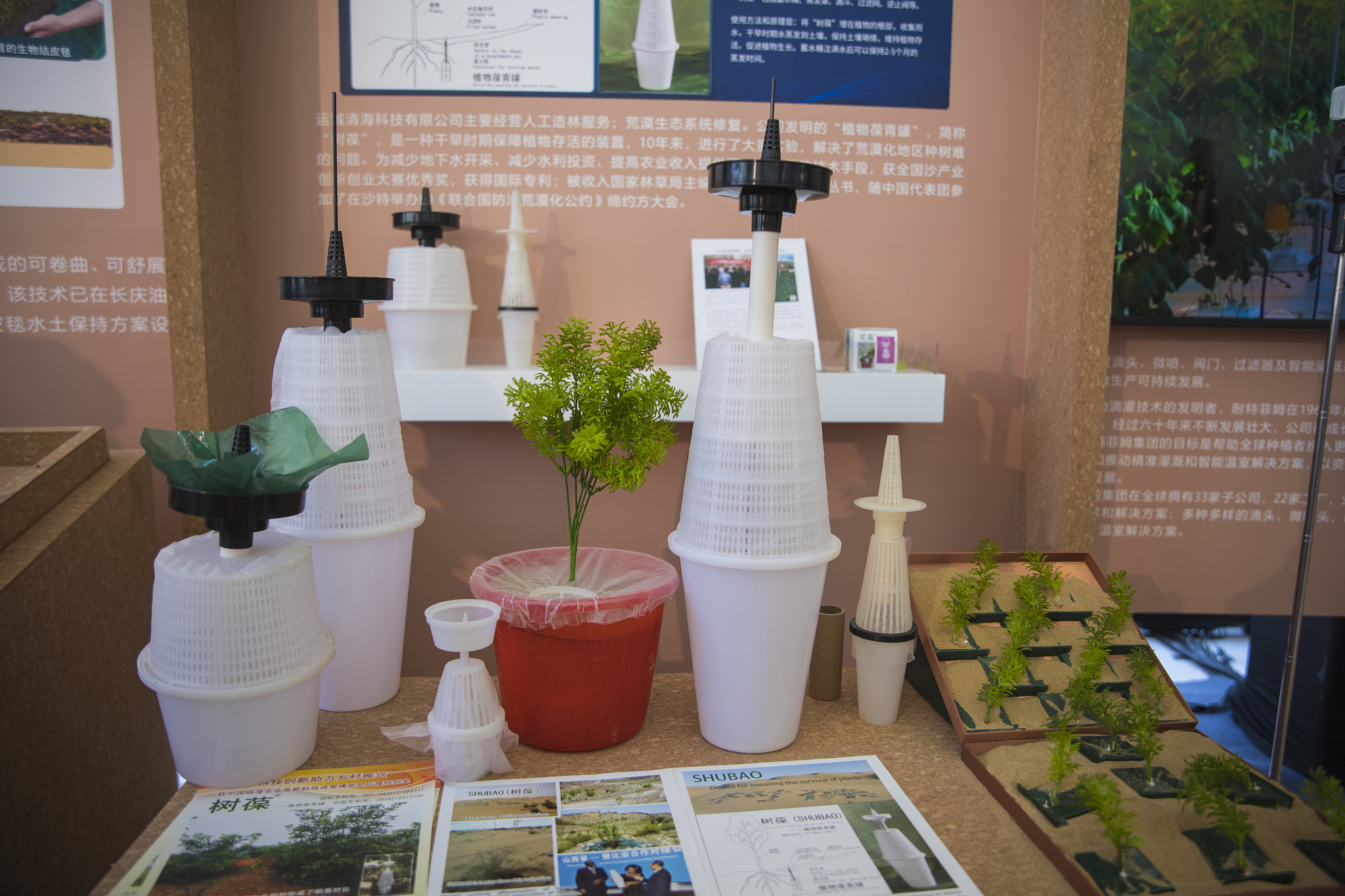 Green advances, sand retreats: A new trek