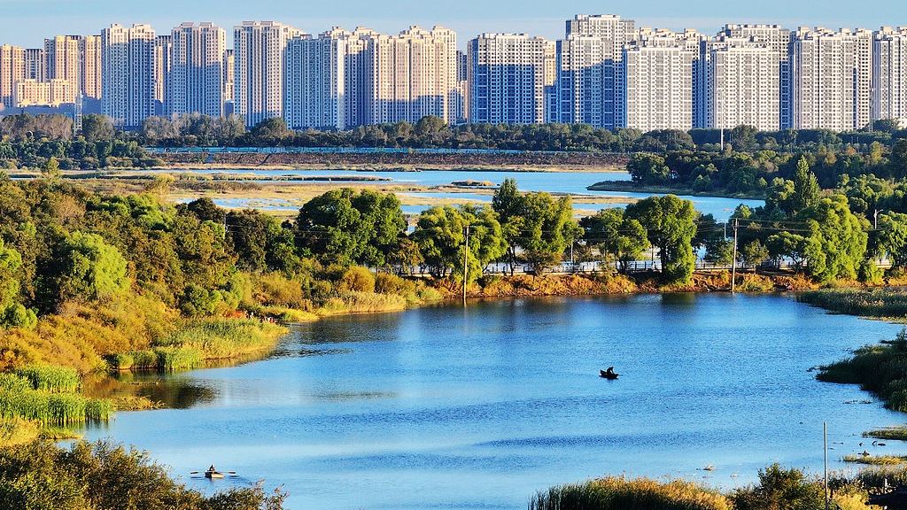 Live: Sun Island, Harbin's scenic oasis on the Songhua River