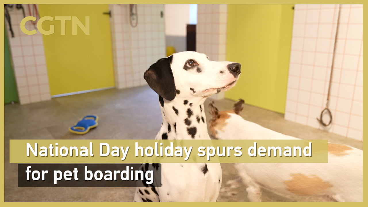 National Day holiday spurs demand for pet boarding