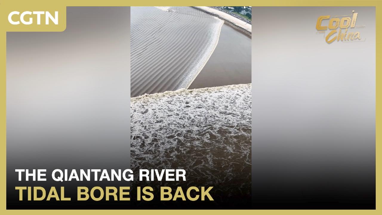 The Qiantang River tidal bore is back