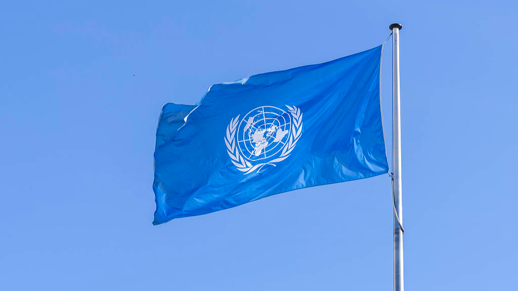 A UN flag. /VCG