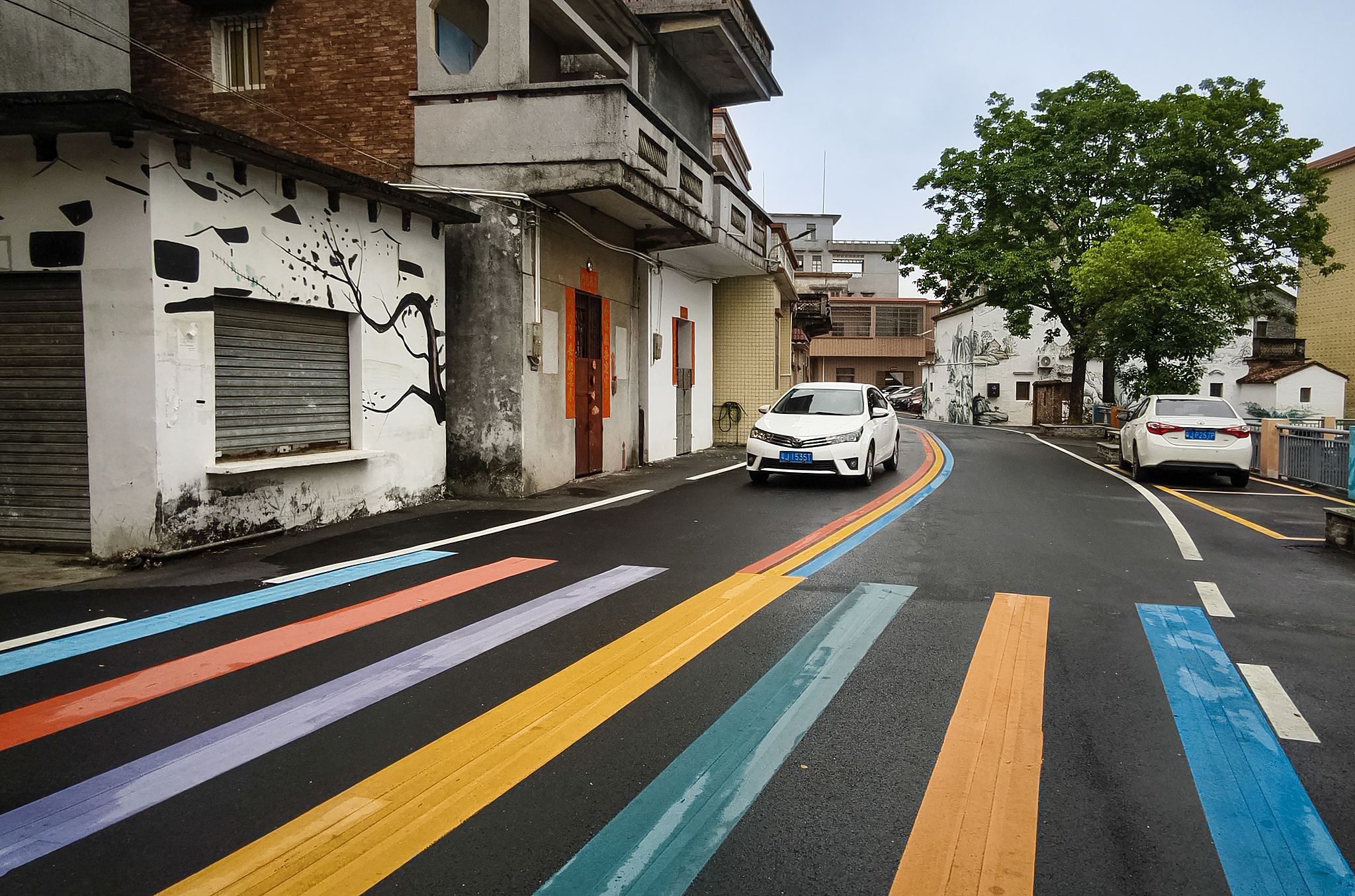 China's rural revitalization: A new Long March