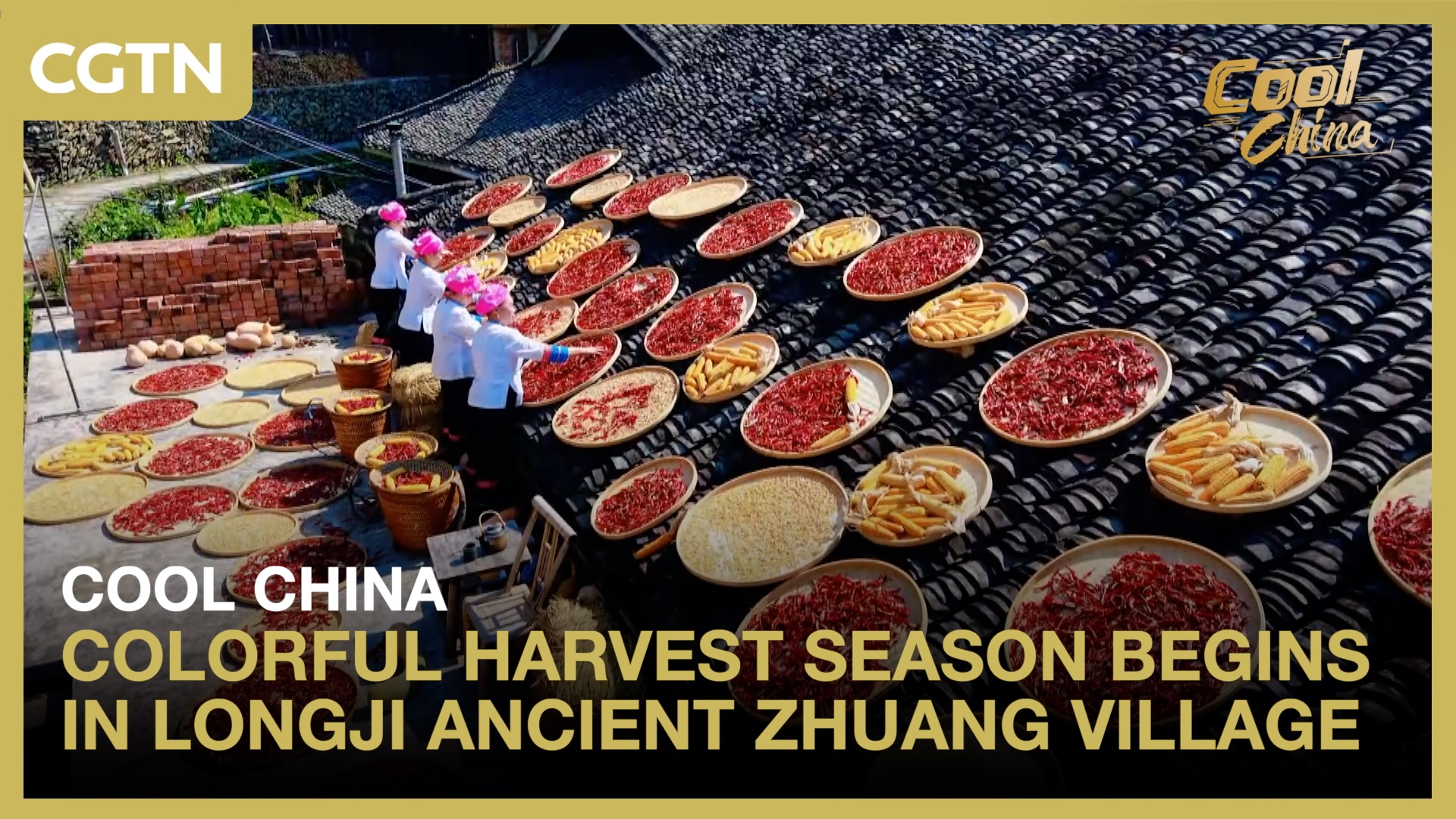 Colorful harvest season begins in Longji Ancient Zhuang Village