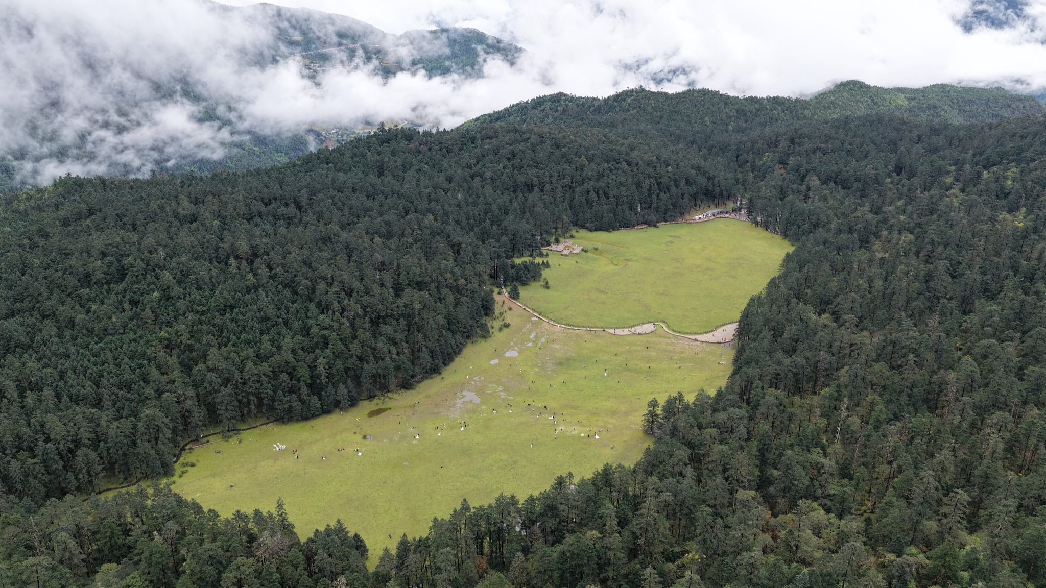 Live: A tranquil gaze at Spruce Meadow on Yulong Snow Mountain