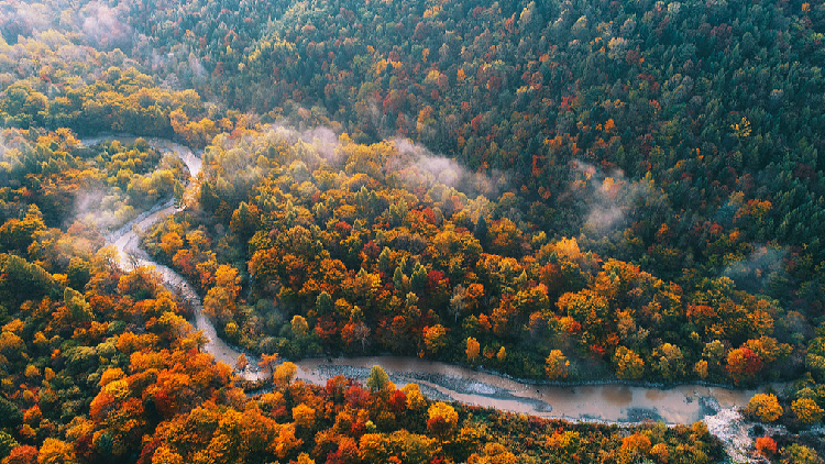 A flight over Jilin's golden mountains