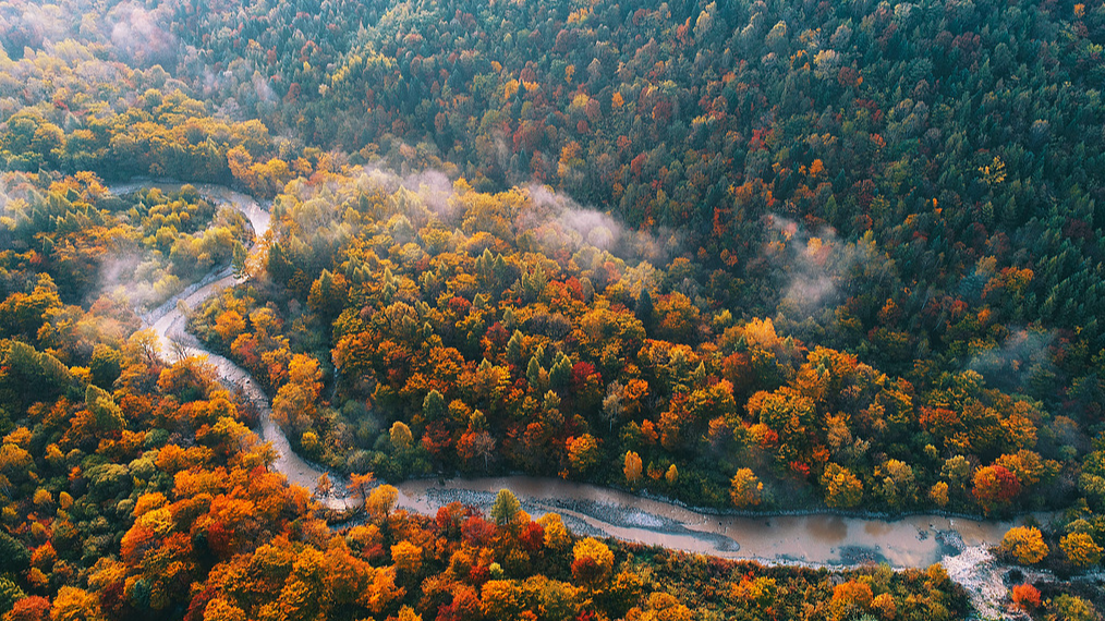 A flight over Jilin's golden mountains