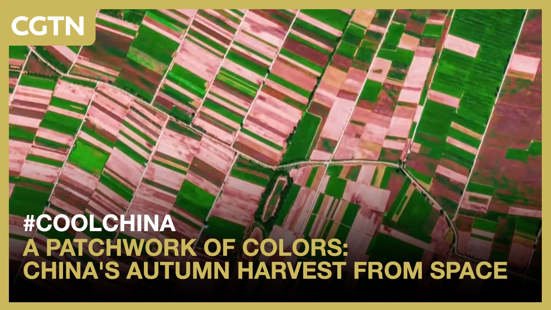 A patchwork of colors: China's autumn harvest from space