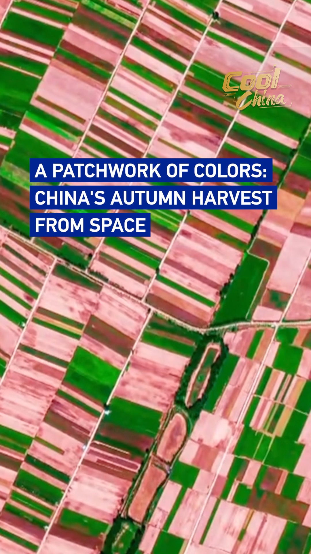 A patchwork of colors: China's autumn harvest from space