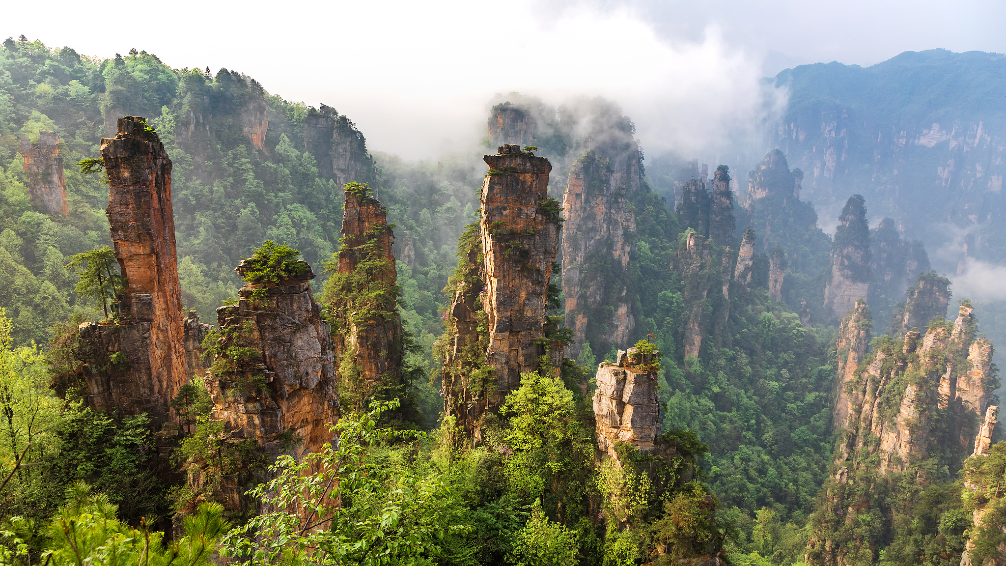 Live: Discover the timeless beauty of Zhangjiajie National Forest Park