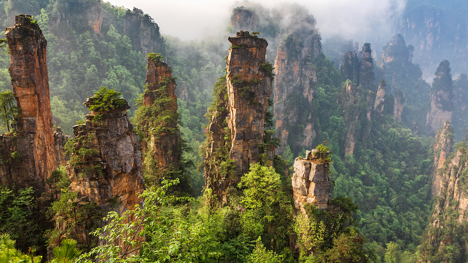 Live: China's Zhangjiajie National Forest Park, a wonderland of peaks and forests