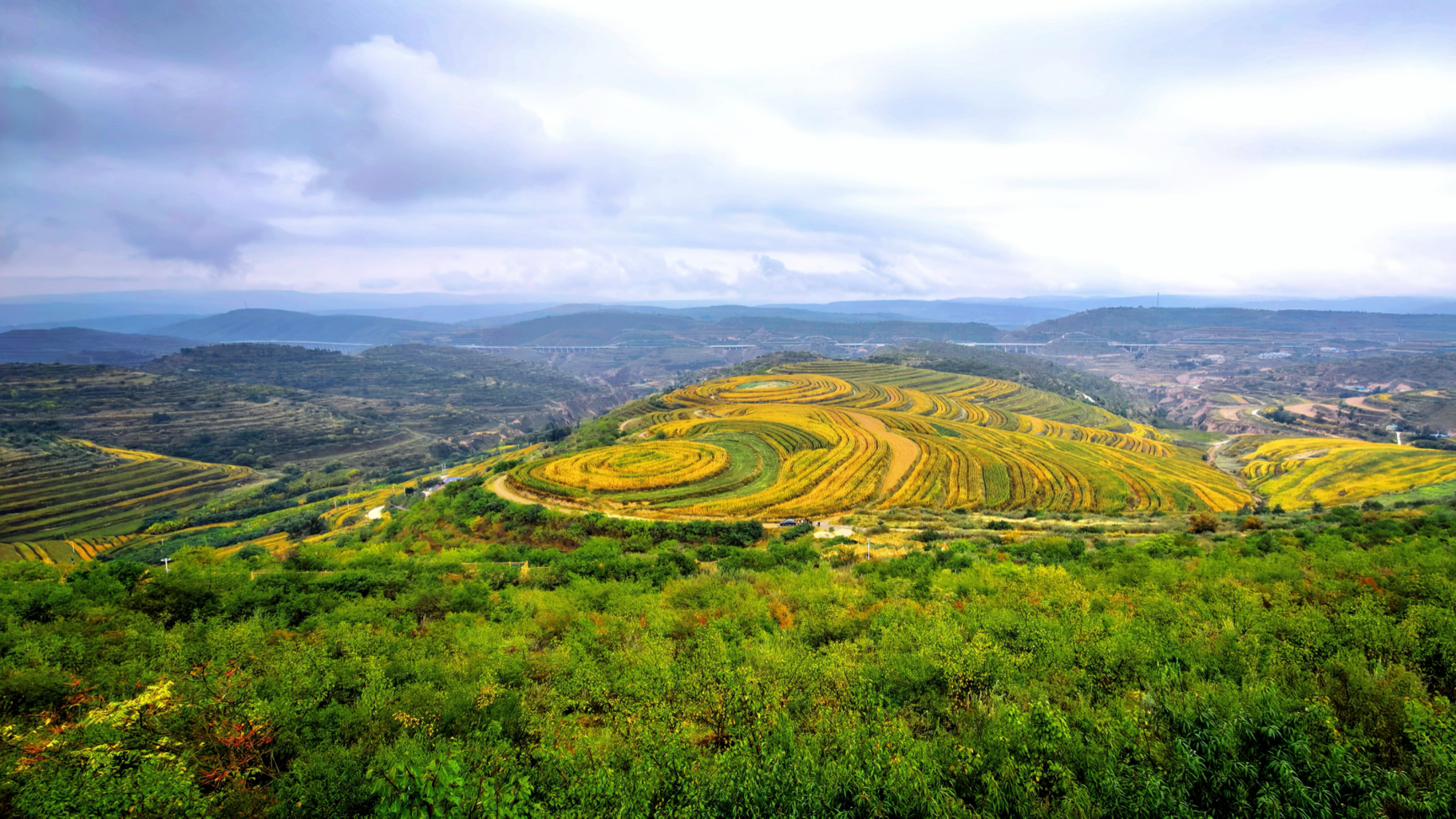 Where the Red Army walked, the land now blooms