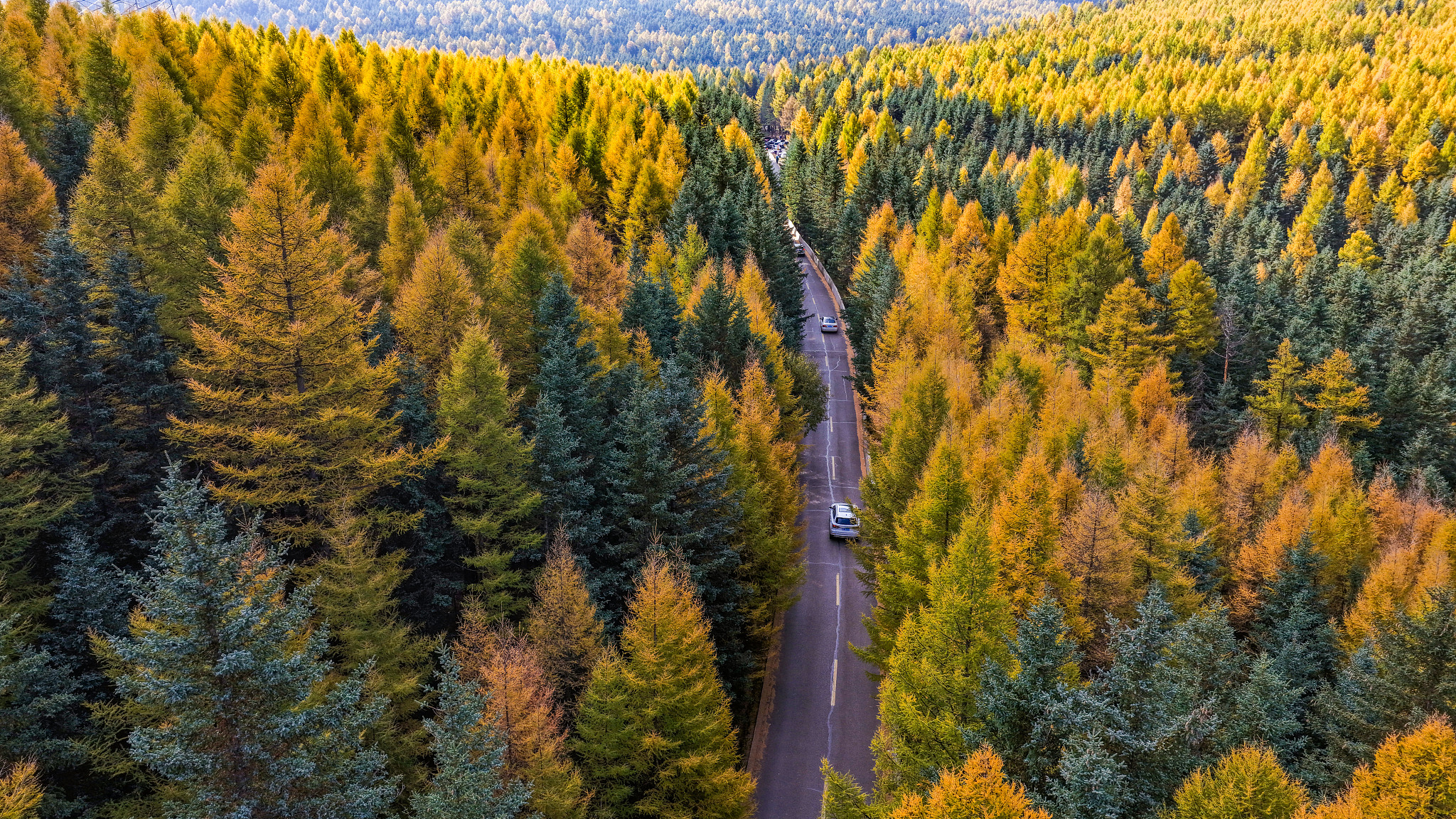 Vehicles travel along the Lüyashan Scenic Highway amid vibrant autumn foliage in Ningwu County, Xinzhou City, north China's Shanxi Province, October 3, 2026. /VCG
