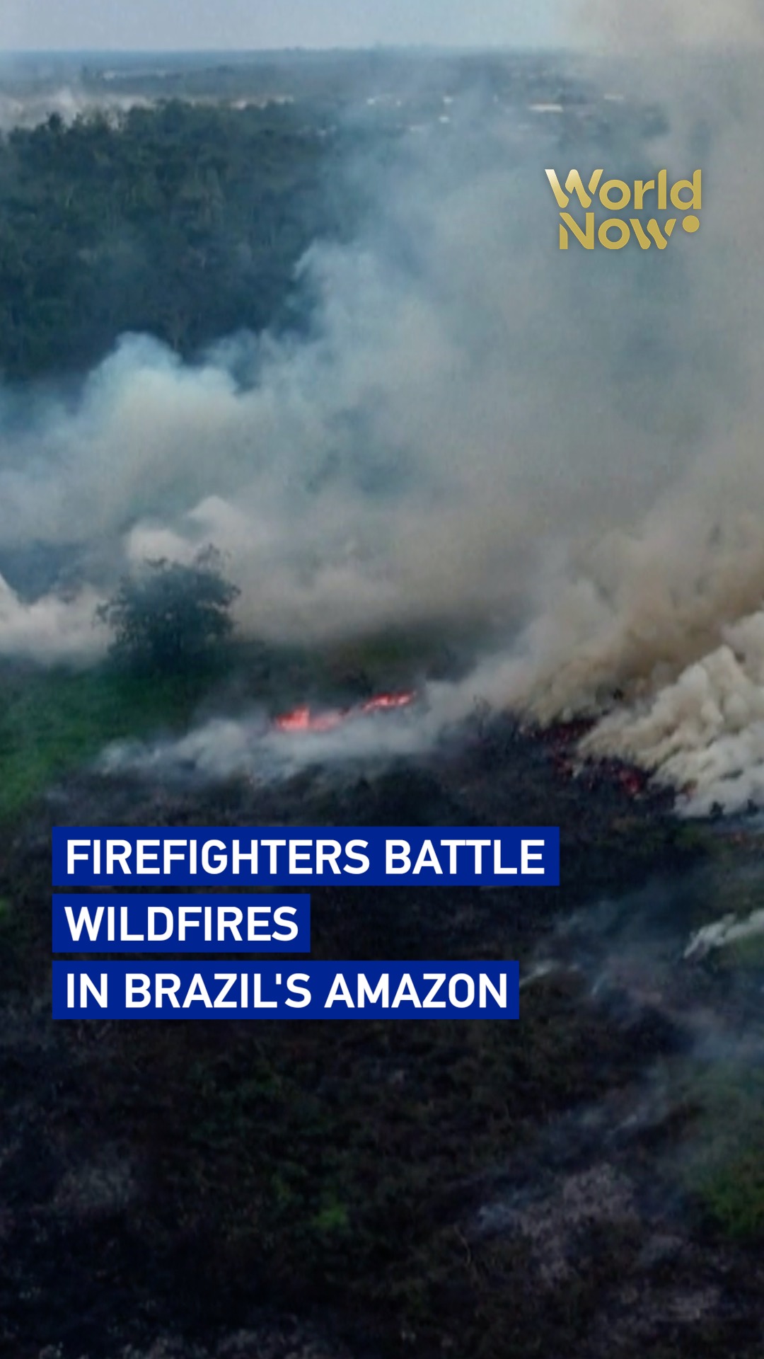 Firefighters battle wildfires in Brazil's Amazon 