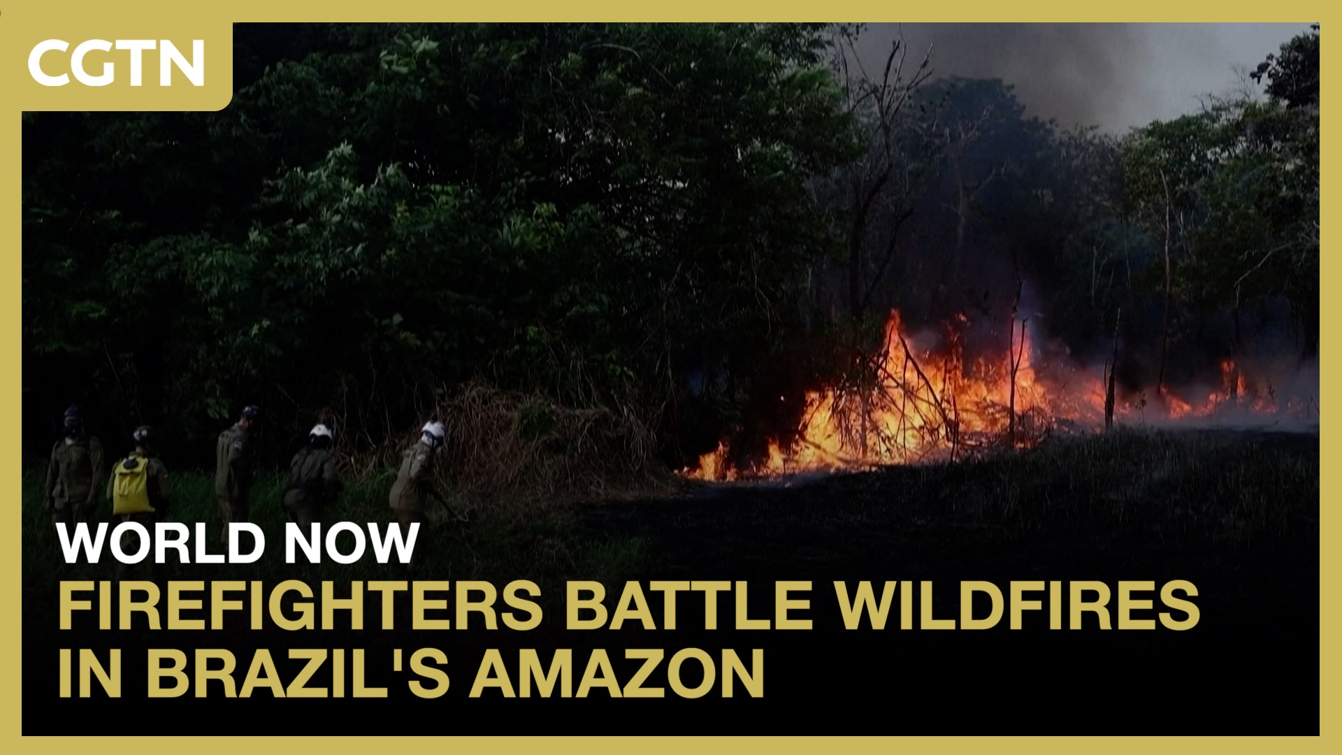 Firefighters battle wildfires in Brazil's Amazon 