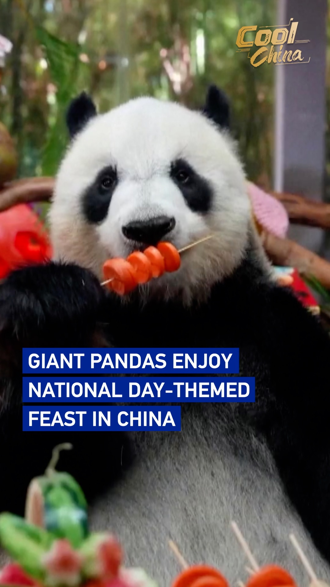 Giant pandas enjoy National Day-themed feast in China