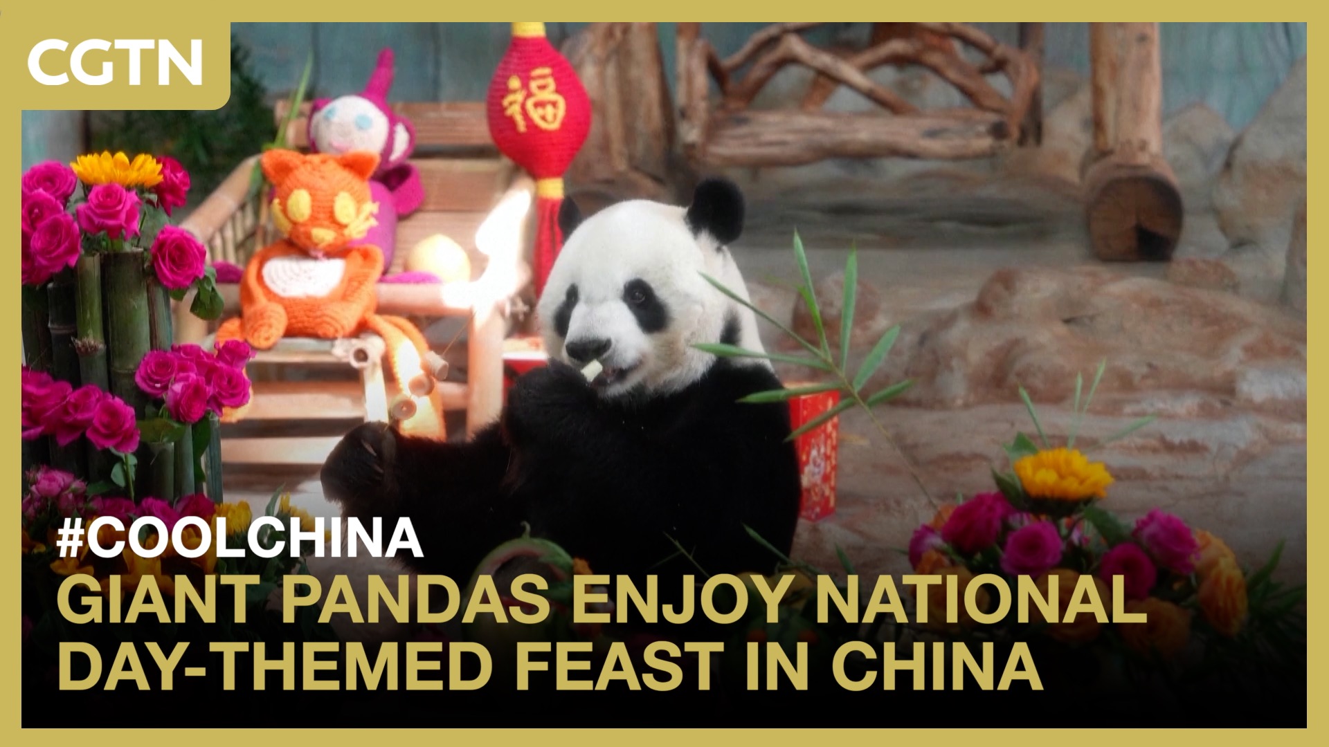 Giant pandas enjoy National Day-themed feast in China