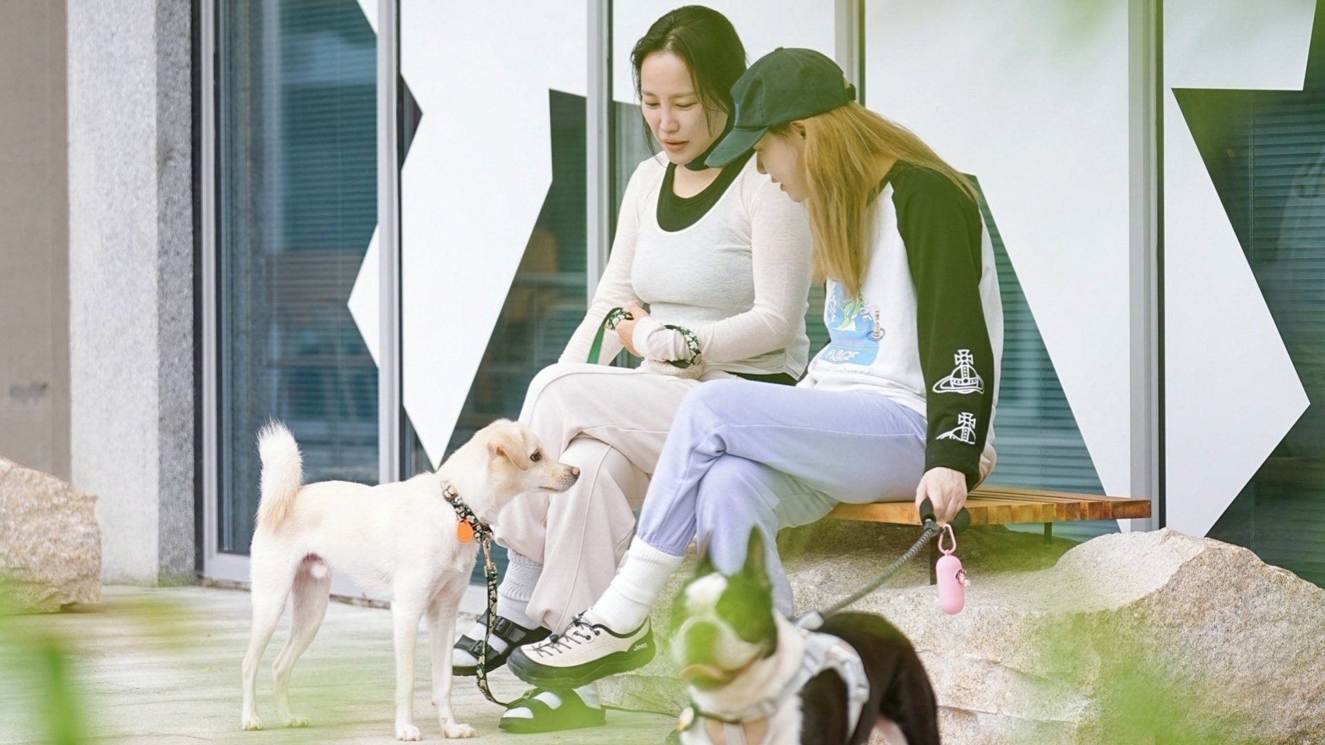 Pets and their owners enjoy leisure time together in Moganshan, Deqing County, east China's Zhejiang Province on October 3, 2026. /Photo provided to CGTN