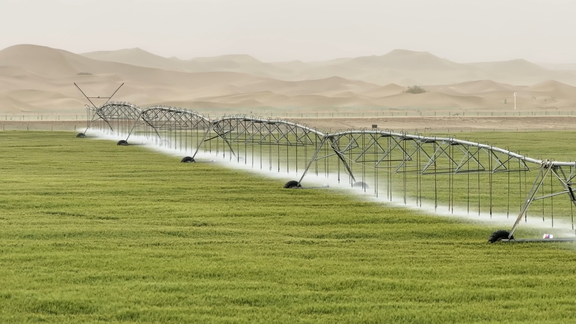 A file photo showing the irrigating of a farm near Kunyu City, northwest China's Xinjiang Uygur Autonomous Region. /CMG