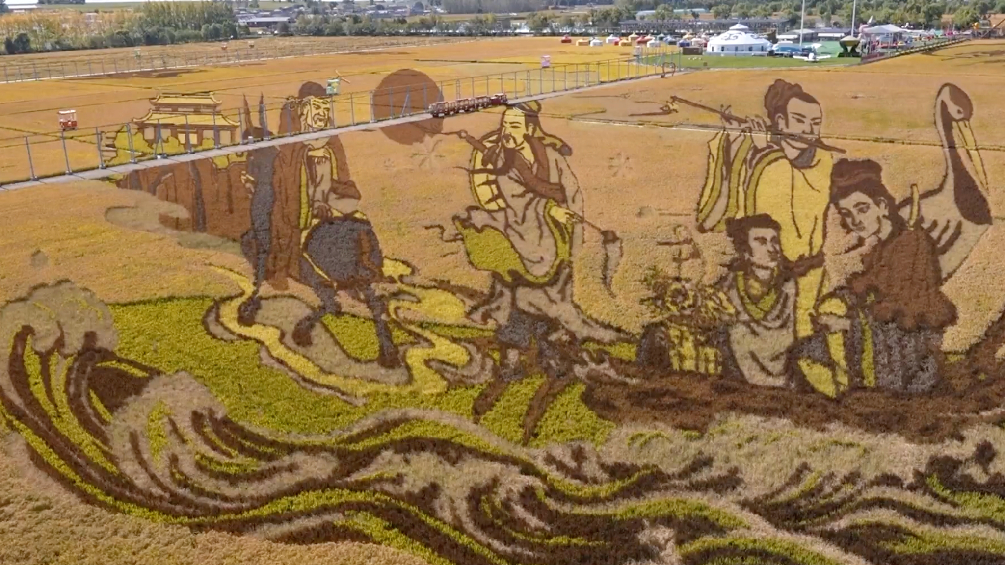 Chinese rice farm stuns holiday travelers with field-wide artworks