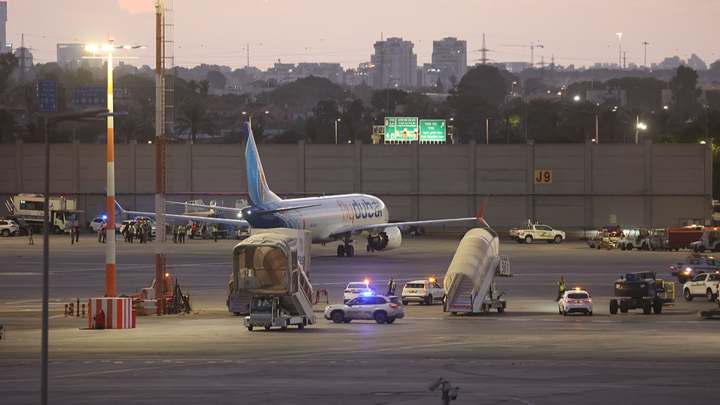 Initial indications suggest Flydubai co-pilot acted alone in attack